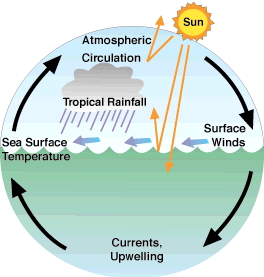 Large-Scale Ocean-Atmosphere Interactions